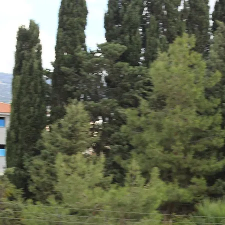303 דירה פאפוס